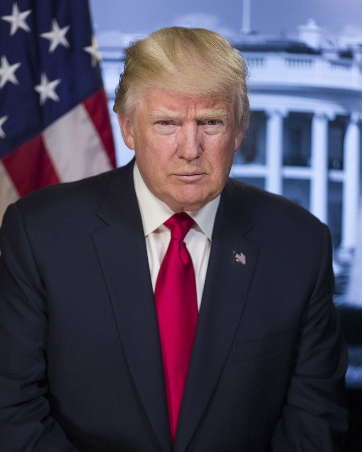 Official portrait of President Donald J. Trump.