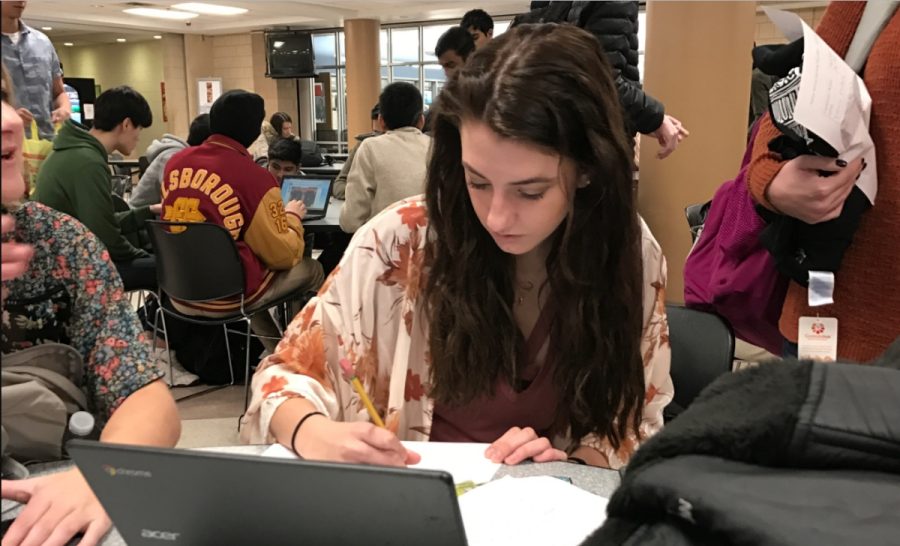 Senior Lexi Decker studying for midterms.