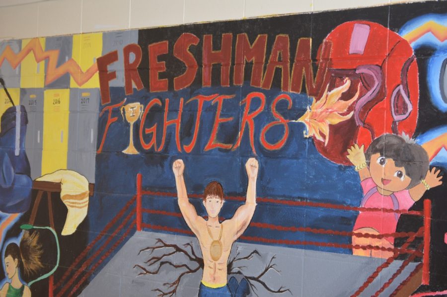 The Class of 2017's Freshman Mural displayed in all its glory.