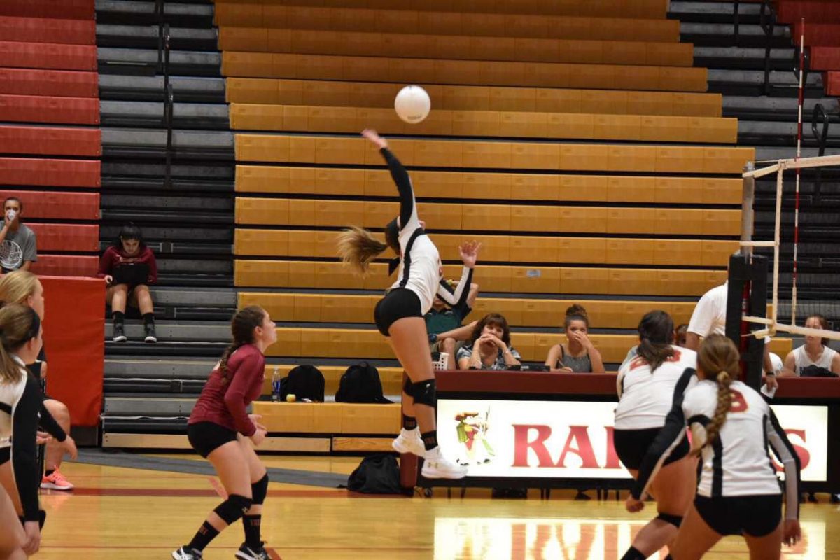 Junior Lenah Chedid spikes the ball in a loss against Central.