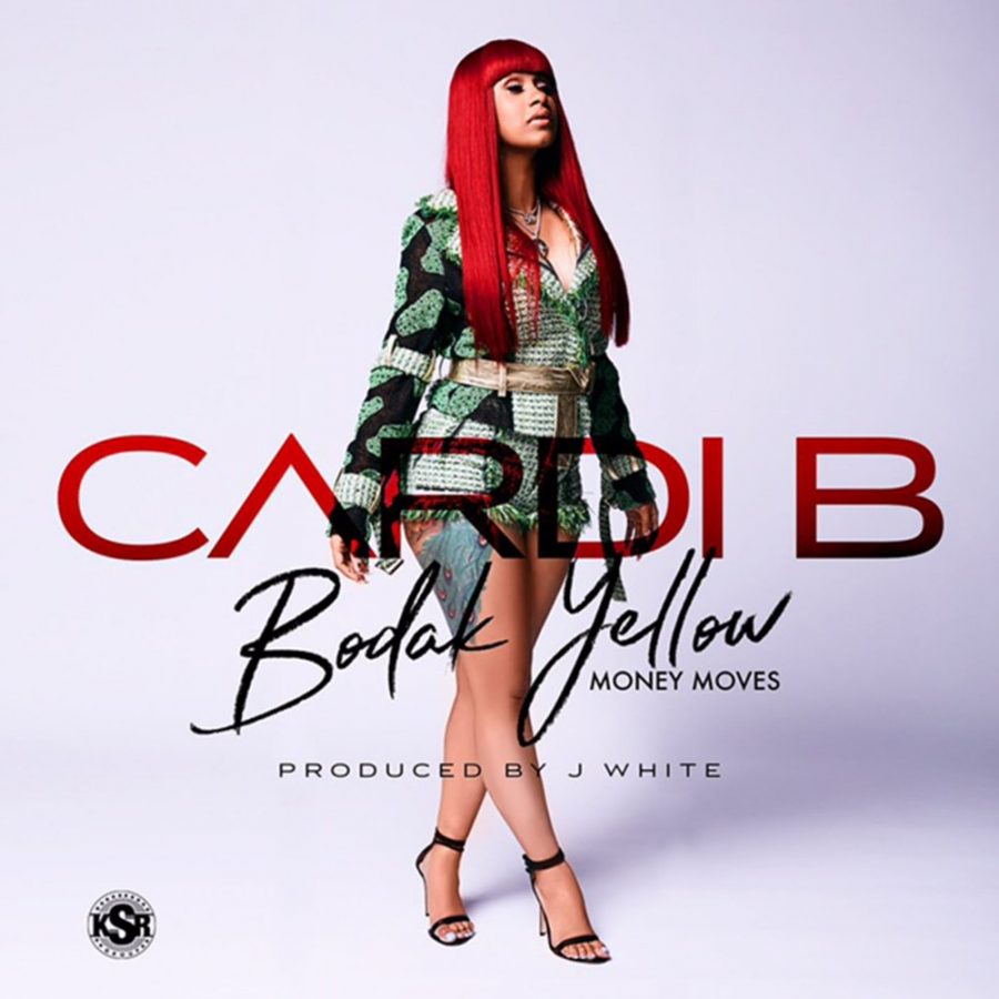 Cardi B's song "Bodak Yellow" reached the top of several charts this past 2017.