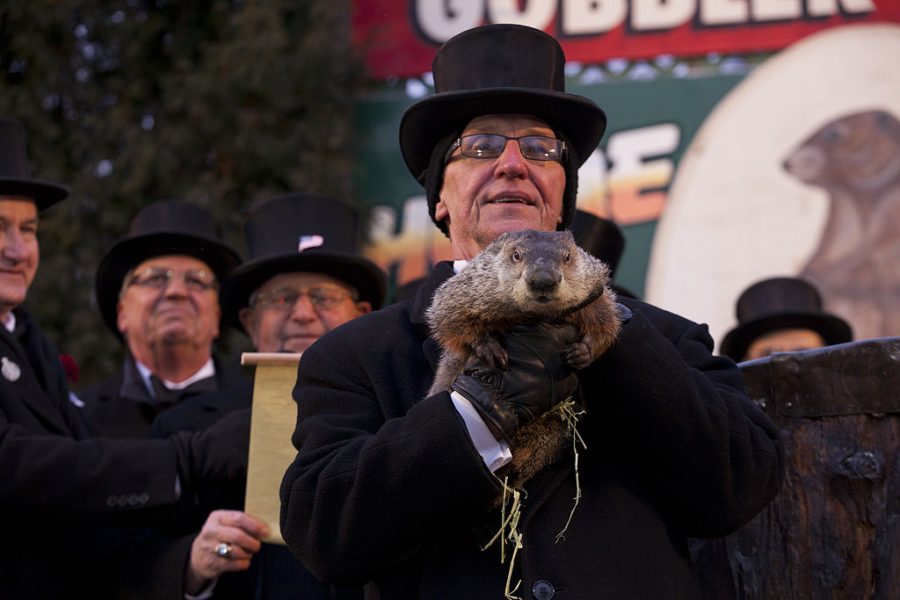 Punxsutawney Phil is held aloft on Groundhog Day in 2013.