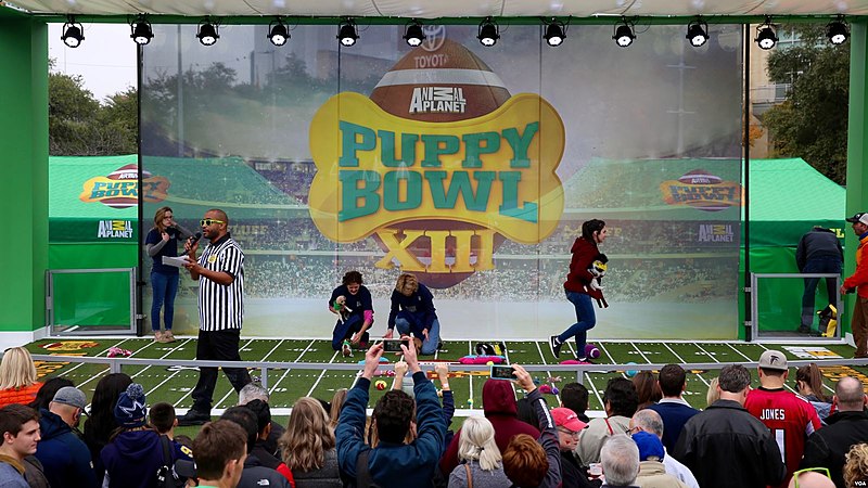 The Puppy Bowl banner hangs over Puppy Bowl XIII, which occurred in 2017.