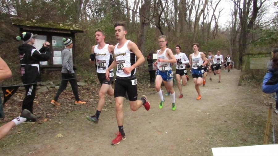 Senior Ryne Beni and Sophomore Chris Digricoli finish their run at their Regional Meet on Nov. 24.