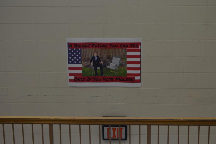 Freshman presidential candidate Luke Moleski's campaign posters are among the most eye-catching.