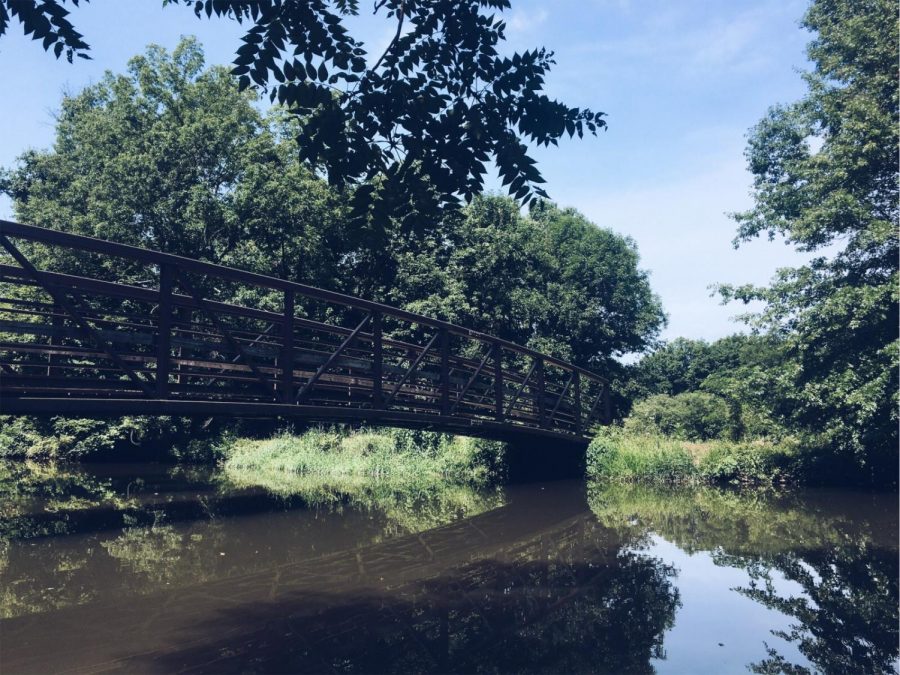 The D&R canal has beautiful views along the path that are sure to wow.