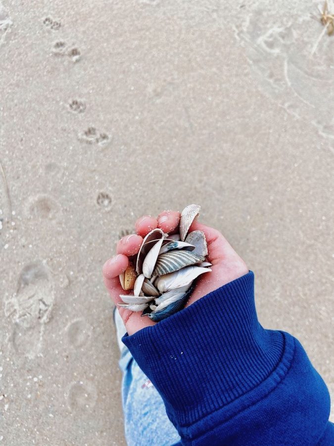 Collecting shells from beaches on the Jersey Shore is a spring break option.