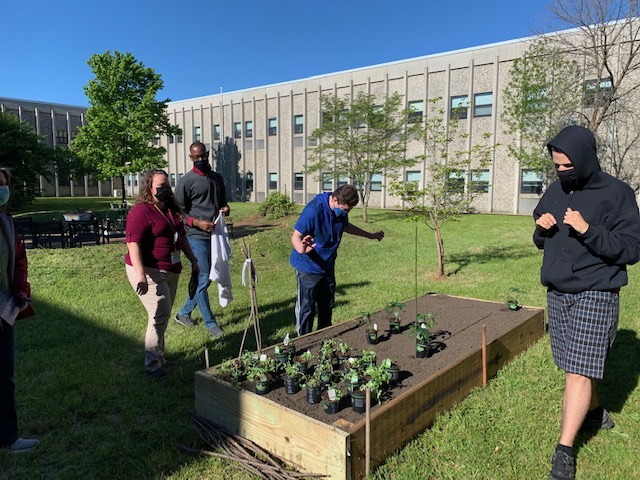 Several students tend to the new garden at HHS every week.  