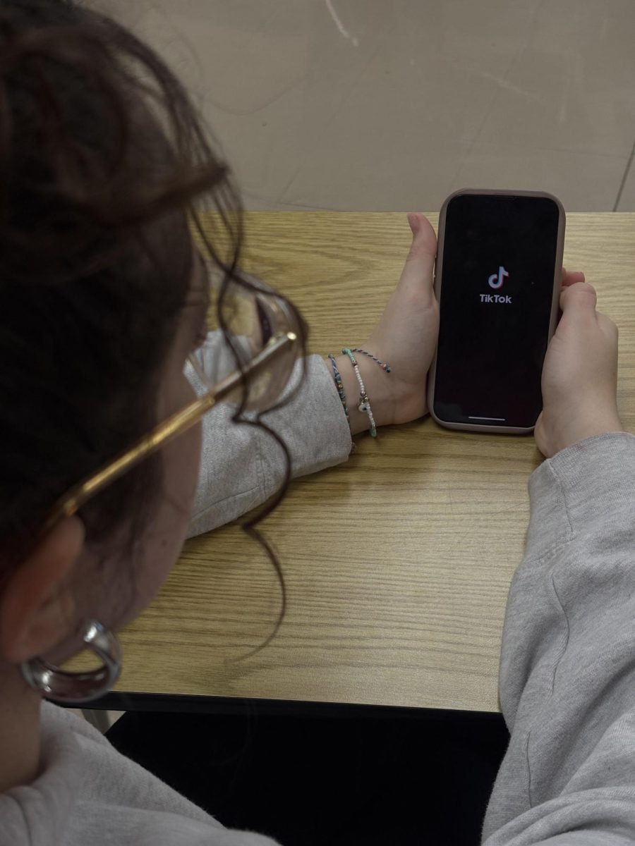 Photo caption: The author Alexandra Tietjen looks at the app, which as of today, is back in the app store.